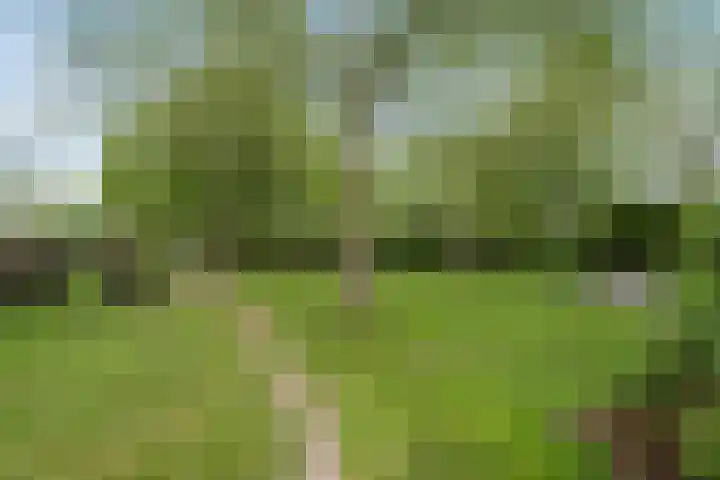 Laathof 137 Ede thumbnail 5