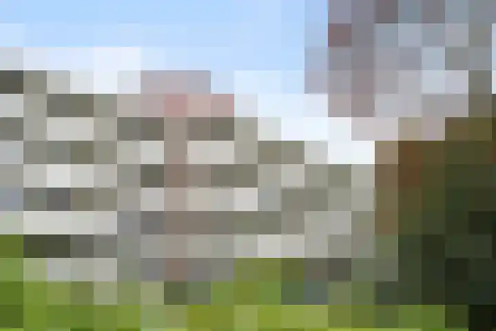 Laathof 137 Ede thumbnail 7
