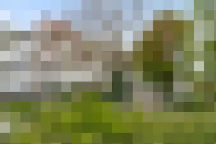 Laathof 137 Ede thumbnail 9