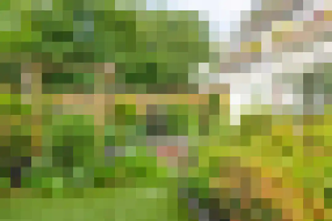 Laathof 79 Ede thumbnail 24