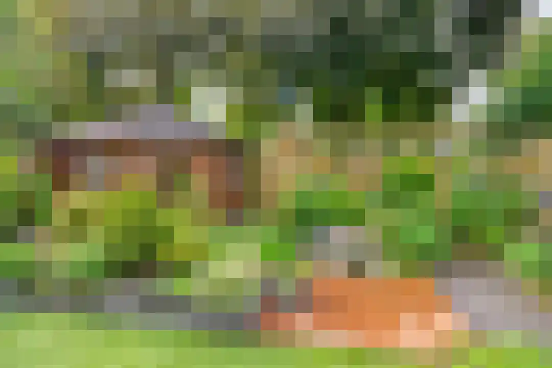 Laathof 79 Ede thumbnail 26