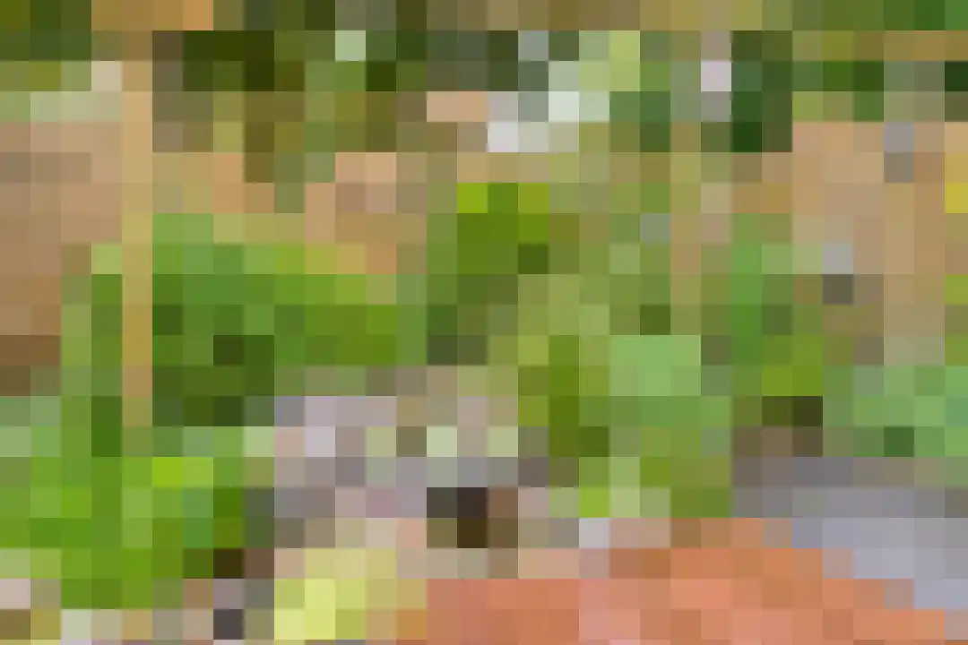 Laathof 79 Ede thumbnail 27
