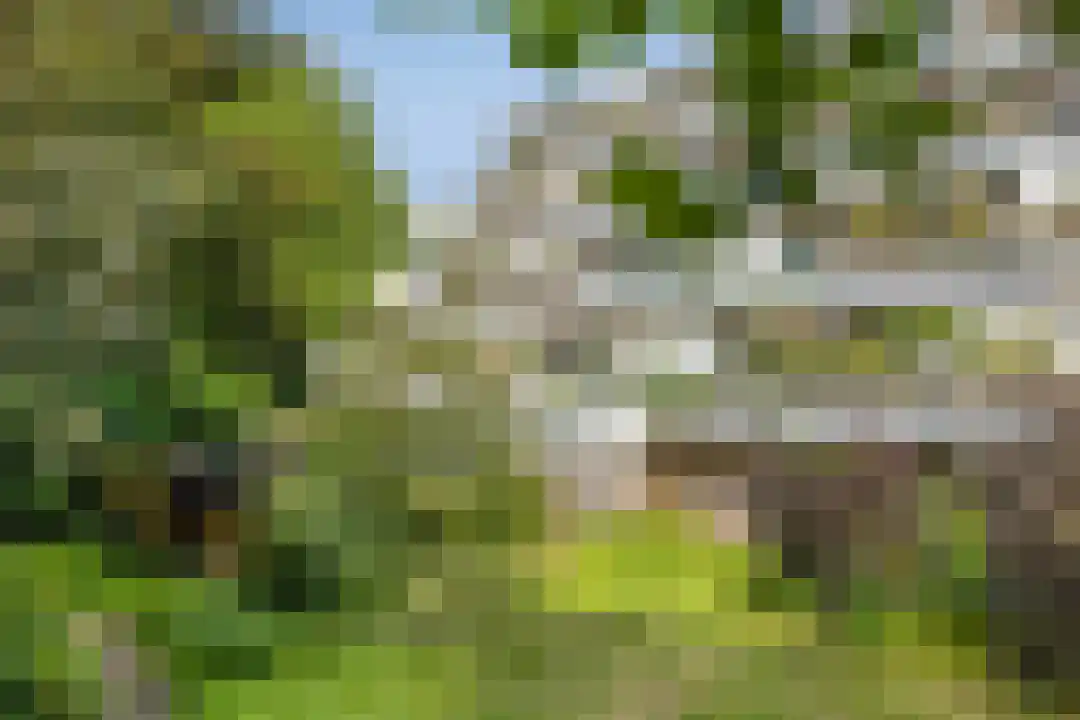 Laathof 79 Ede thumbnail 30