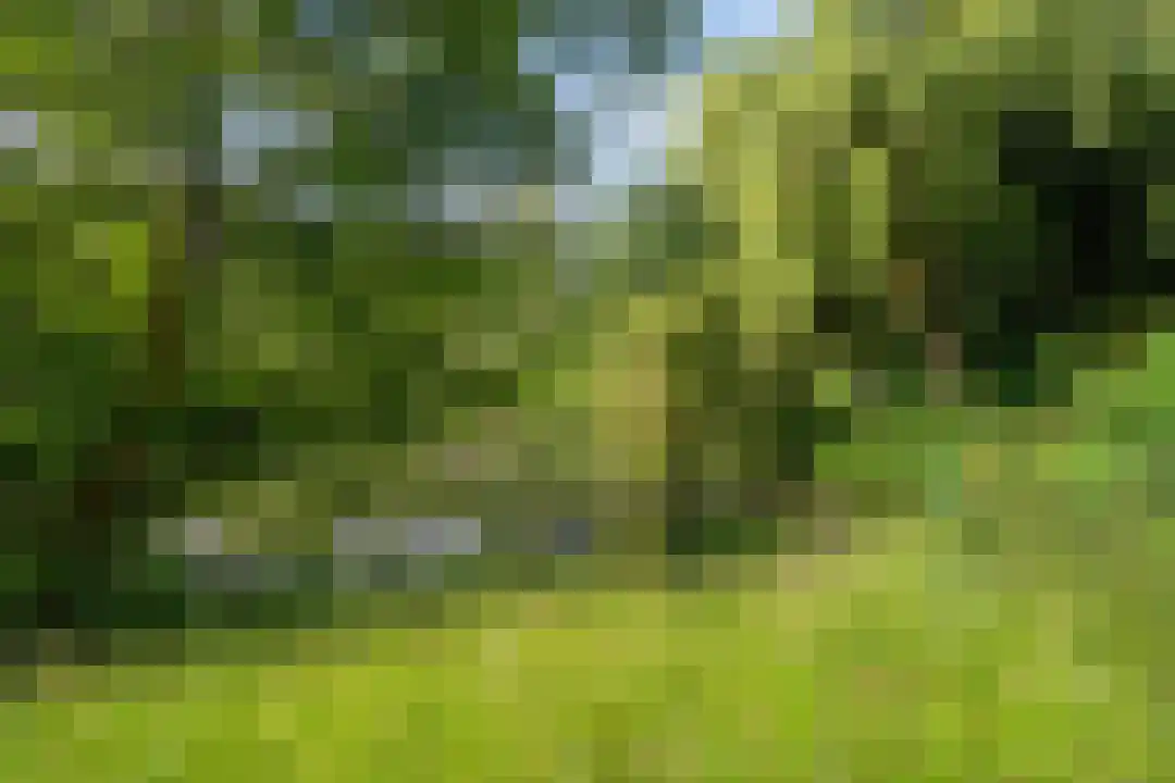 Laathof 79 Ede thumbnail 33