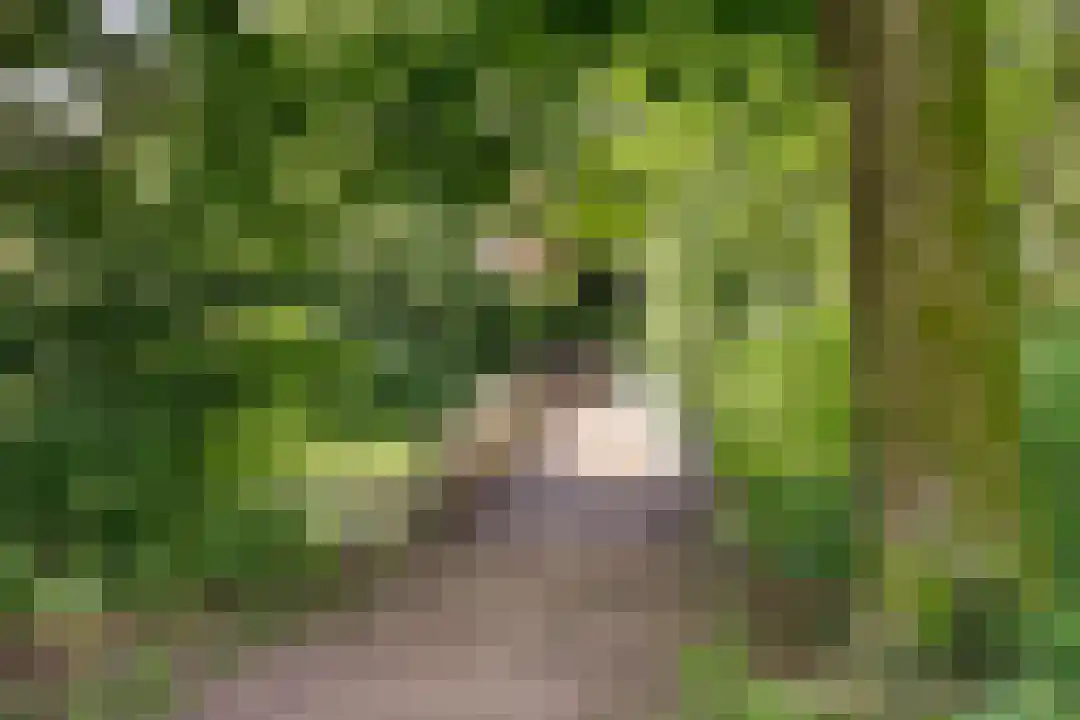 Laathof 79 Ede thumbnail 34