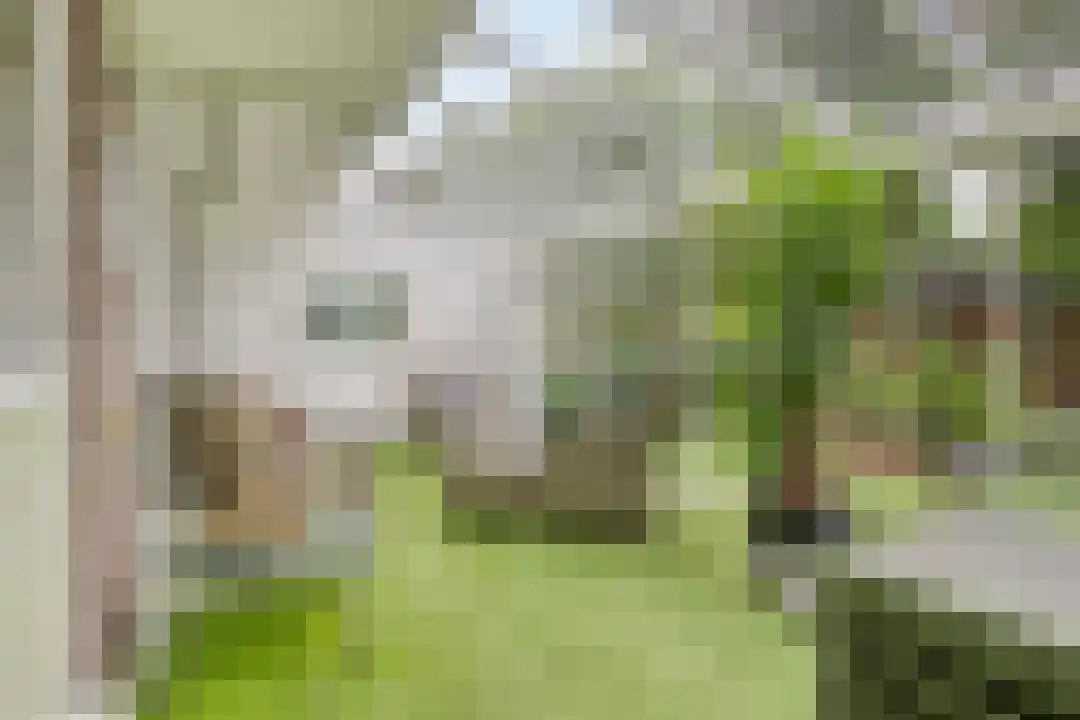 Laathof 79 Ede thumbnail 8