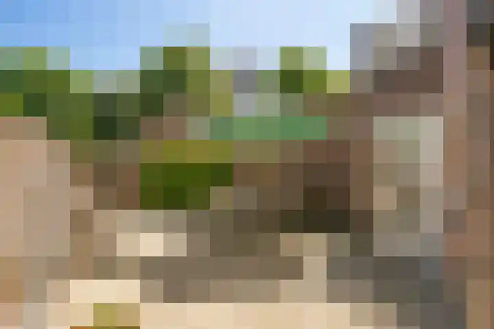 Laathof 9 Ede thumbnail 22