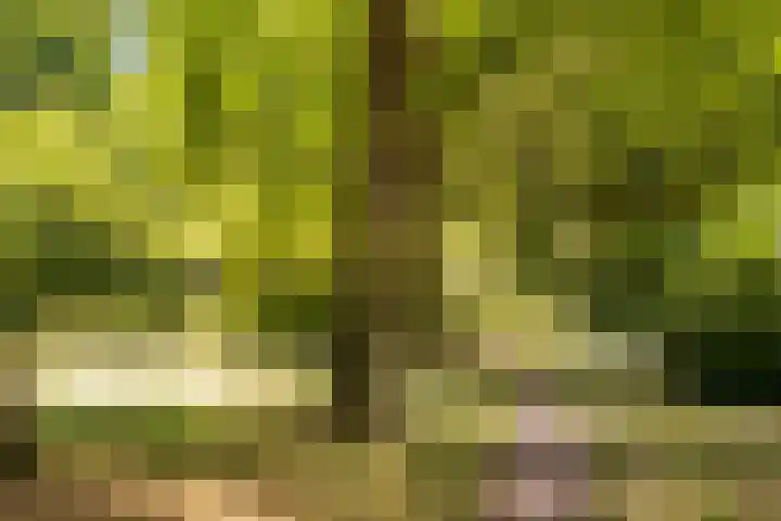Laathof 9 Ede thumbnail 25