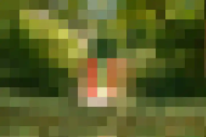 Laathof 9 Ede thumbnail 26