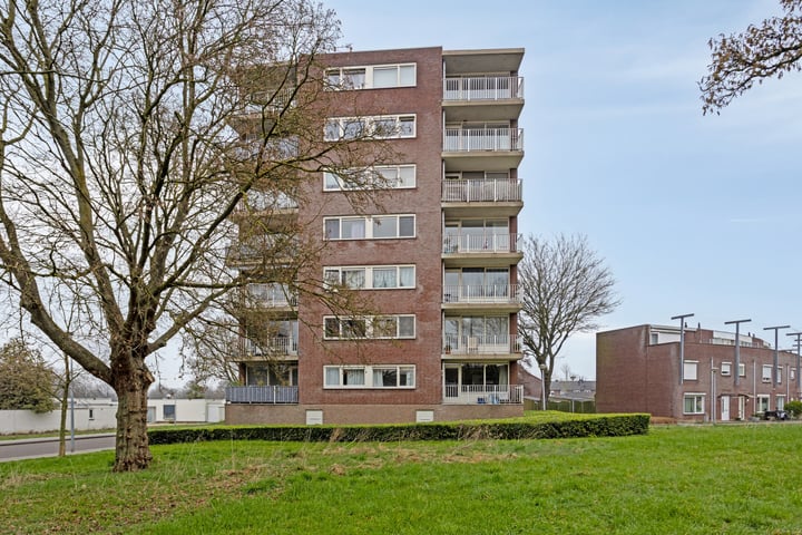 Laathofruwe 33B in Maastricht Foto