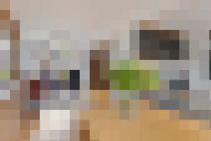 Laathofstraat 16 Beek thumbnail 12