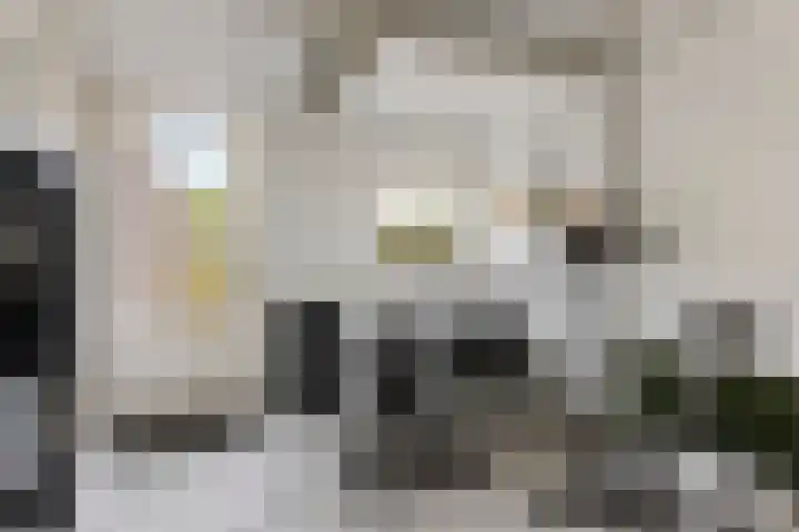 Laathofstraat 16 Beek thumbnail 18