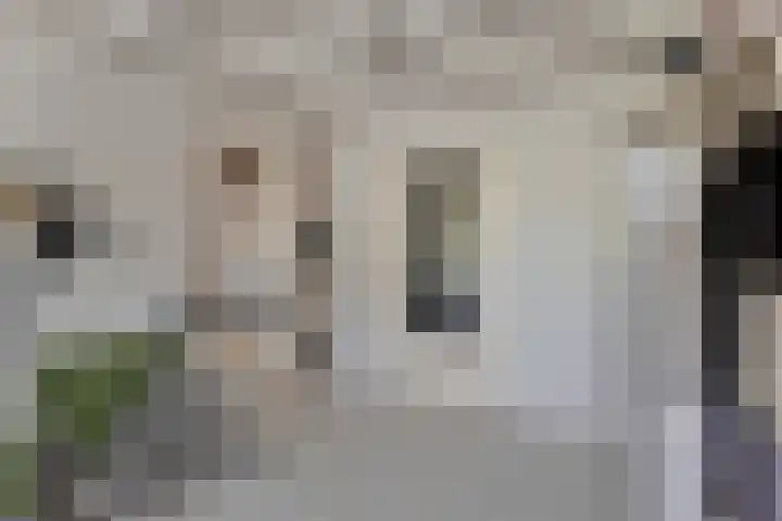 Laathofstraat 16 Beek thumbnail 19