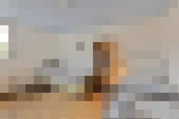 Laathofstraat 16 Beek thumbnail 29