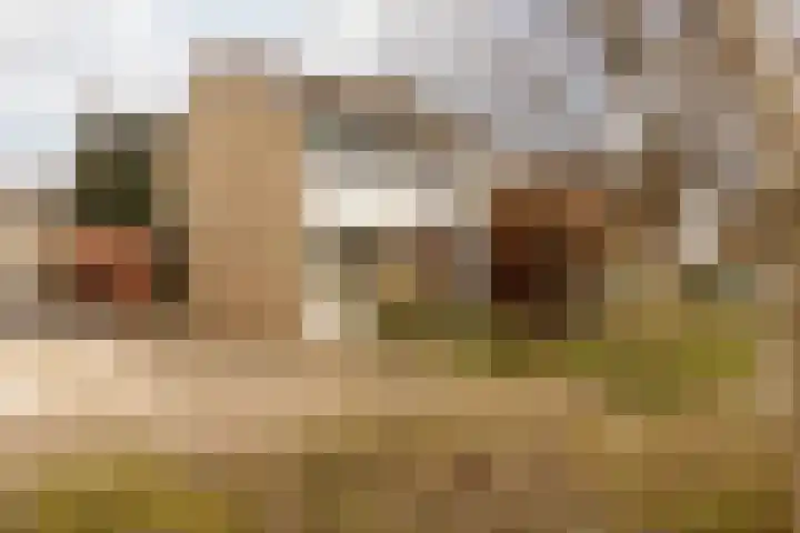 Laathofstraat 34 Beek thumbnail 10