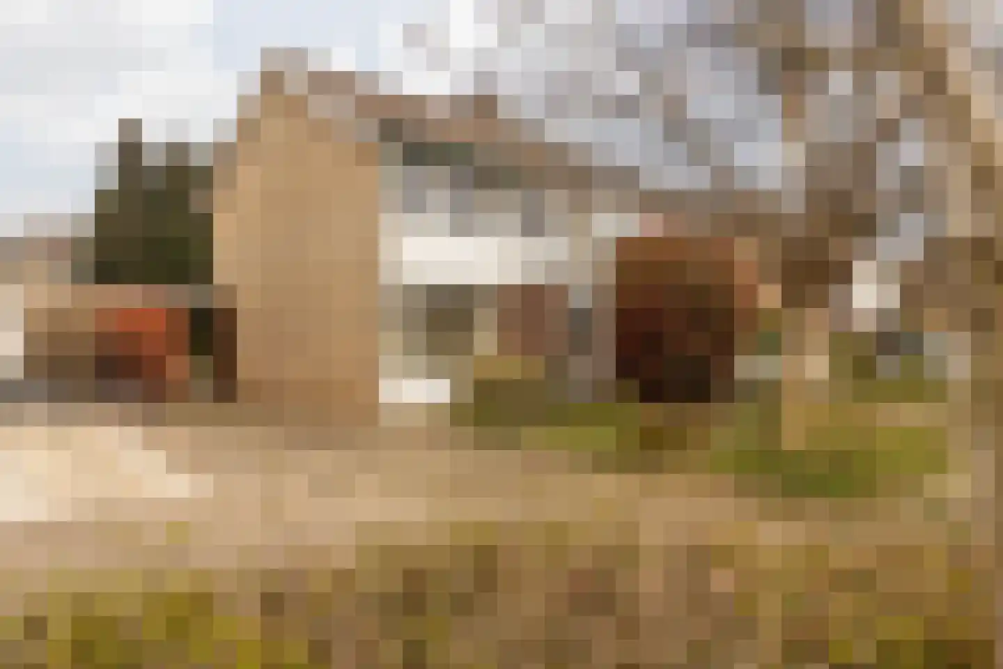 Laathofstraat 34 Beek thumbnail 10