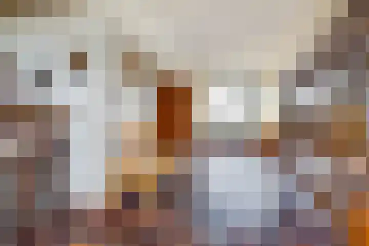 Laathofstraat 34 Beek thumbnail 20