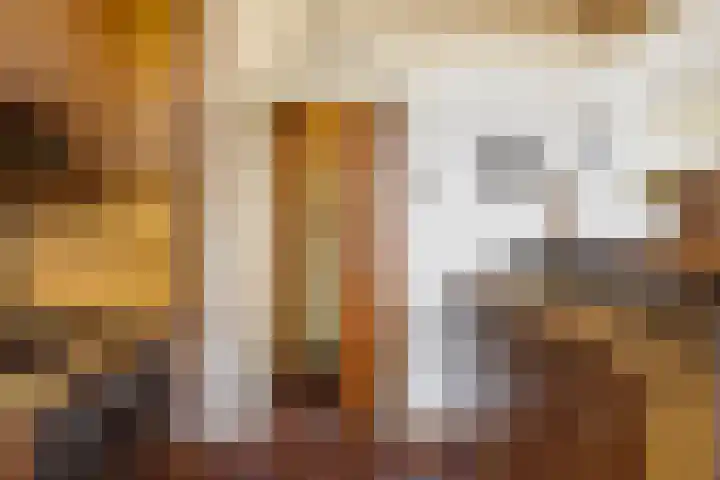 Laathofstraat 34 Beek thumbnail 25