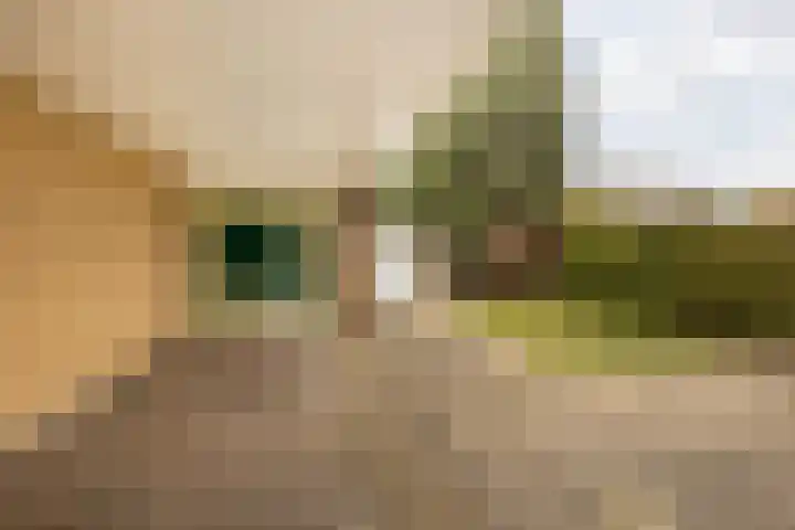 Laathofstraat 34 Beek thumbnail 49