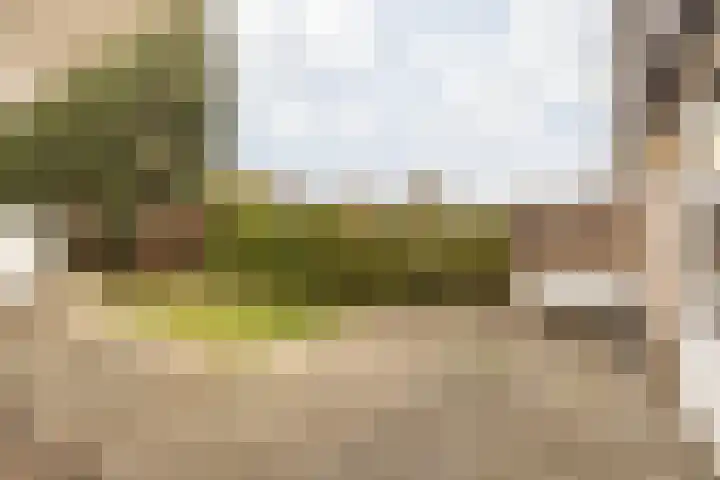 Laathofstraat 34 Beek thumbnail 56