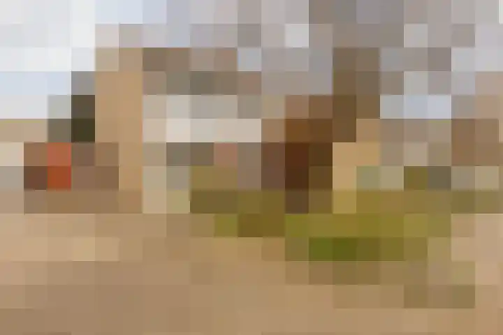 Laathofstraat 34 Beek thumbnail 60