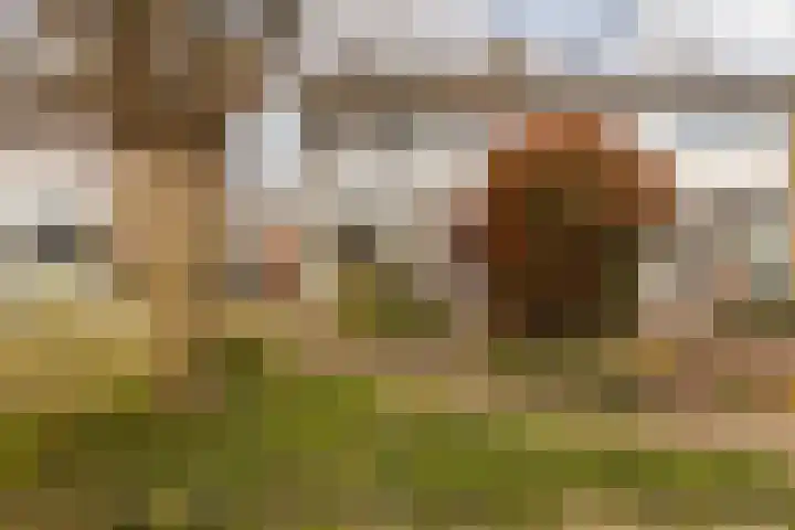 Laathofstraat 34 Beek thumbnail 8