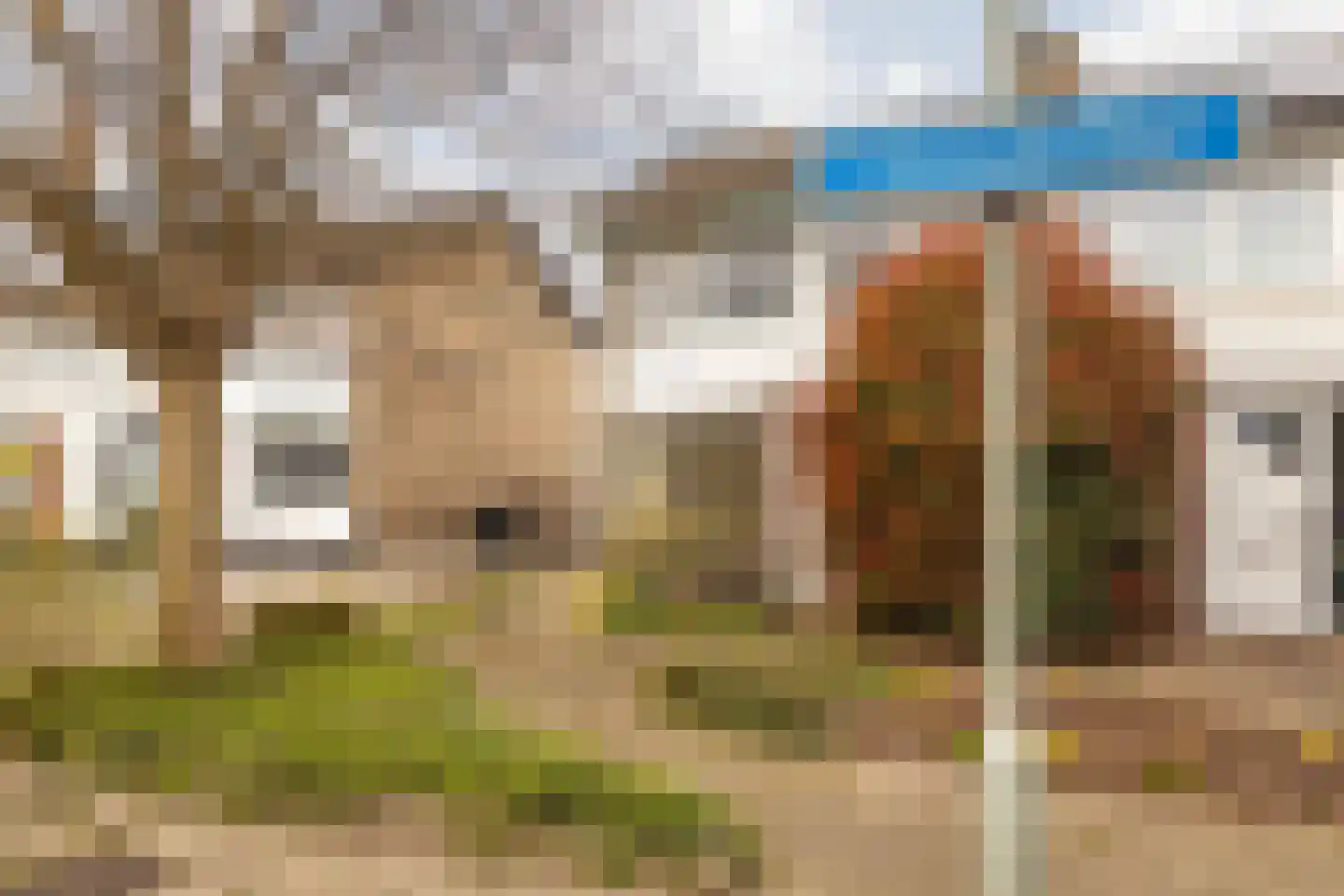 Laathofstraat 34 Beek thumbnail 9
