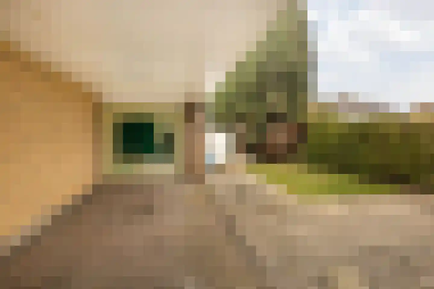 Laathofstraat 34 Beek (LI) thumbnail 49