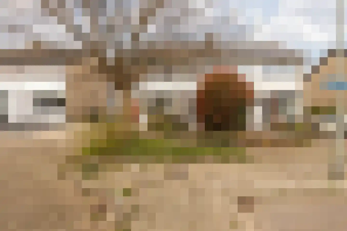 Laathofstraat 34 Beek (LI) thumbnail 7
