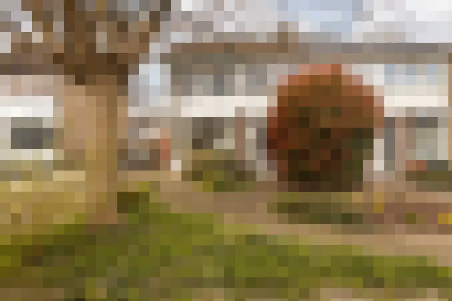 Laathofstraat 34 Beek (LI) thumbnail 8
