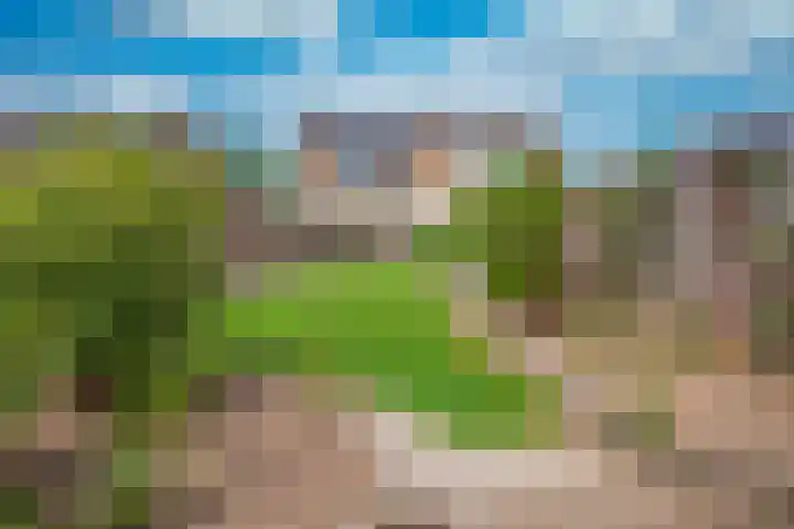 Laathofstraat 5 Beek thumbnail 26