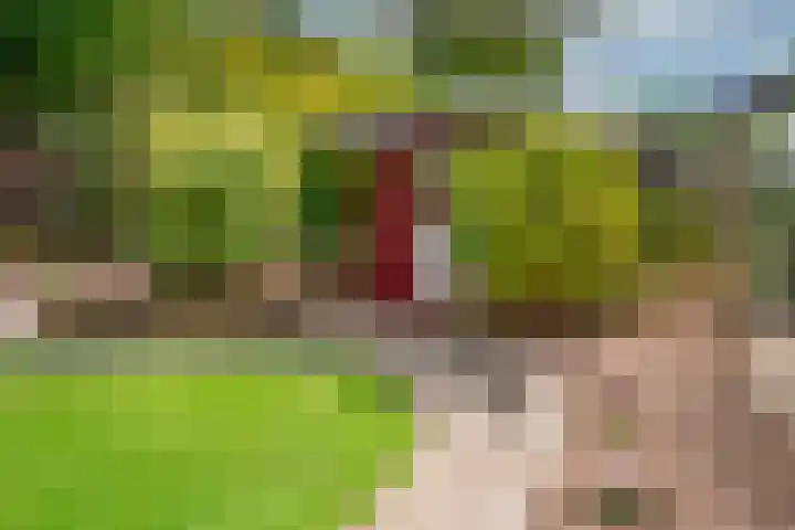 Laathofstraat 5 Beek thumbnail 33