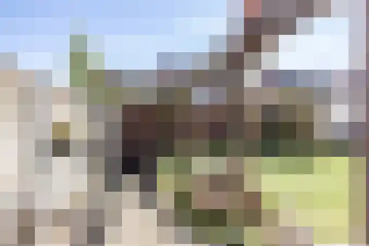 Laathovenlaan 6 Margraten thumbnail 37