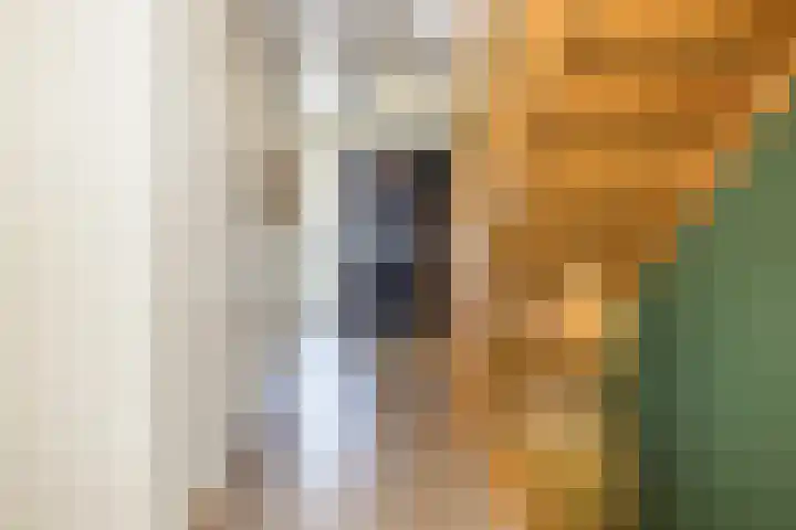 Laathovenlaan 6 Margraten thumbnail 4