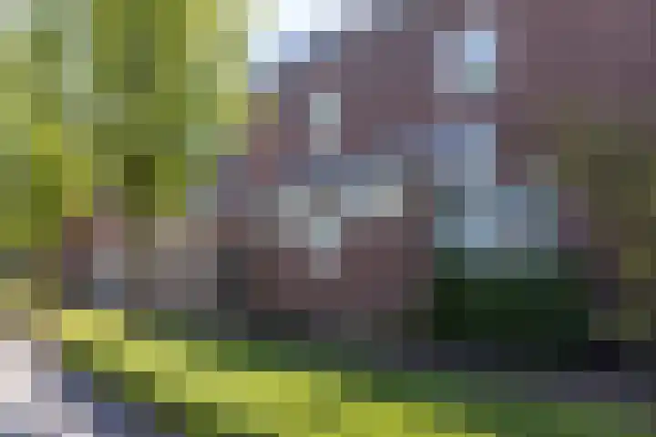 Laathovenlaan 6 Margraten thumbnail 40