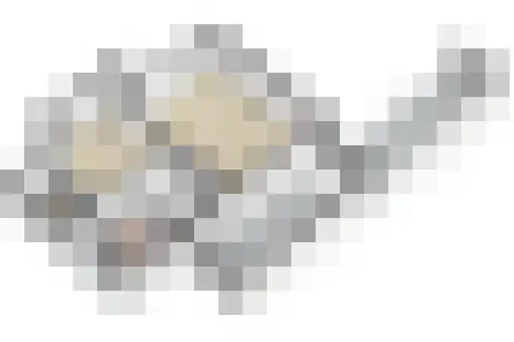 Laathovenlaan 6 Margraten thumbnail 44