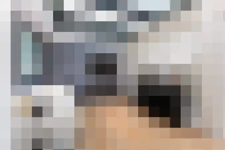 Laauwikstraat 27 Lent thumbnail 20