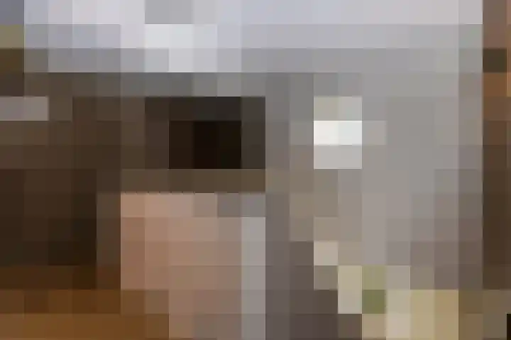 Laauwikstraat 27 Lent thumbnail 25