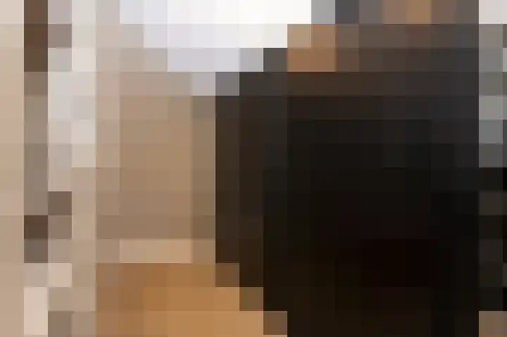 Laauwikstraat 27 Lent thumbnail 28