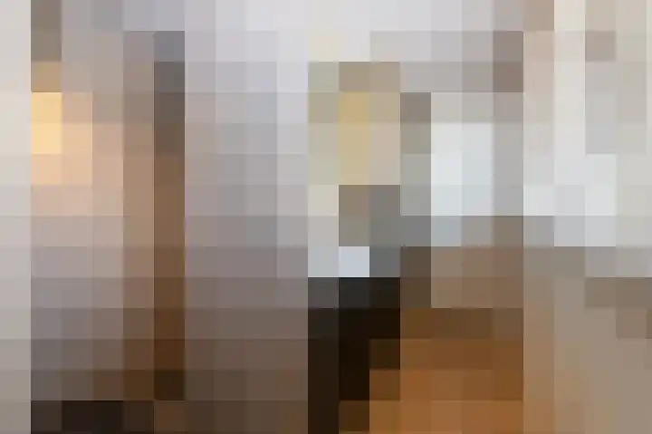 Laauwikstraat 27 Lent thumbnail 30