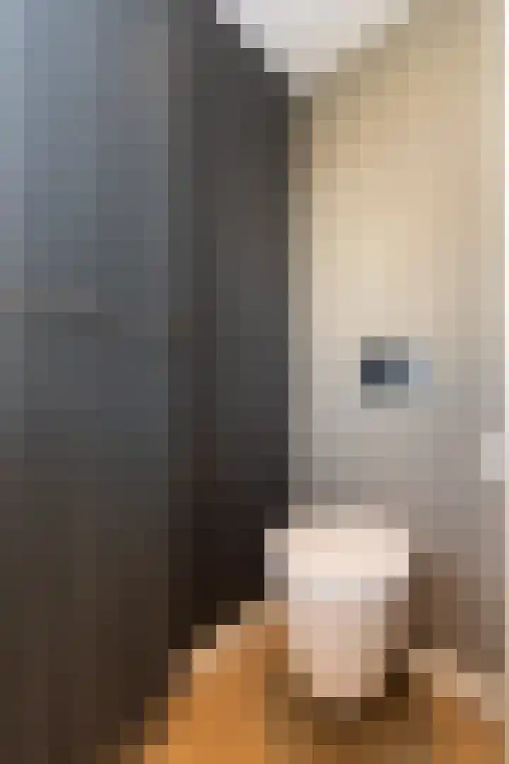 Laauwikstraat 27 Lent thumbnail 32