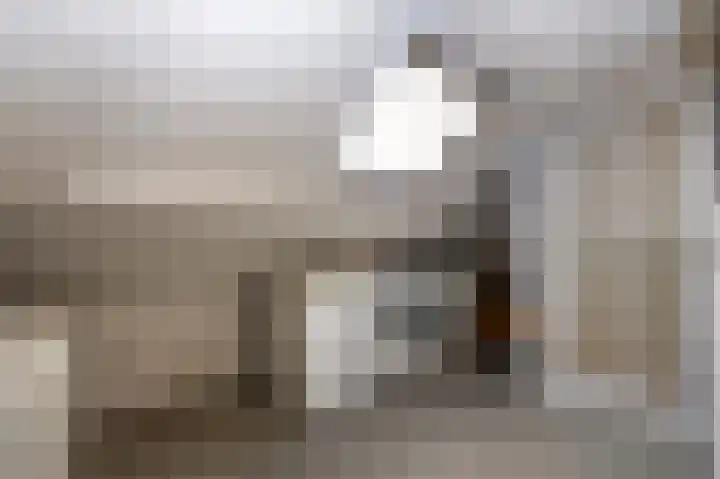 Laauwikstraat 27 Lent thumbnail 35