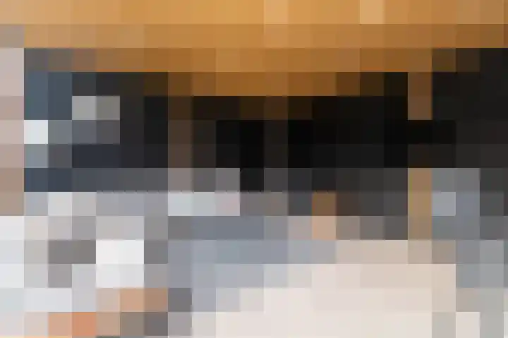 Laauwikstraat 27 Lent thumbnail 43
