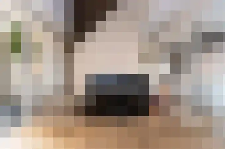 Laauwikstraat 27 Lent thumbnail 8