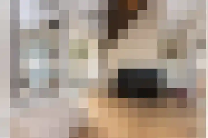 Laauwikstraat 27 Lent thumbnail 9