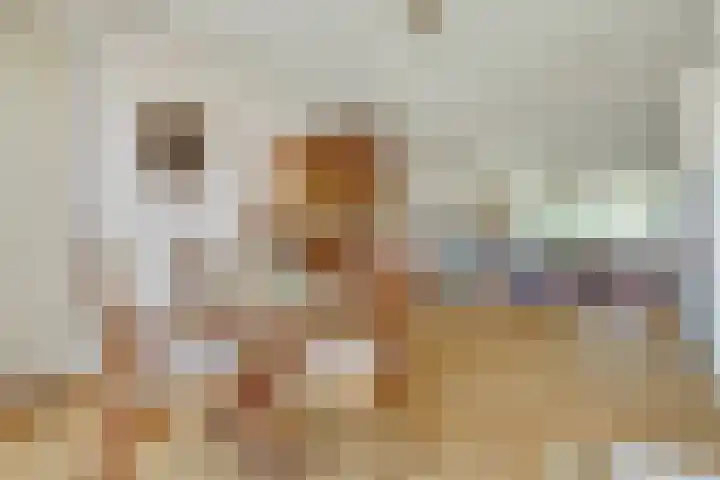 Laauwikstraat 43 Lent thumbnail 13
