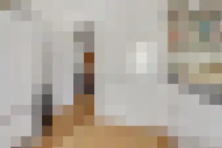Laauwikstraat 43 Lent thumbnail 18