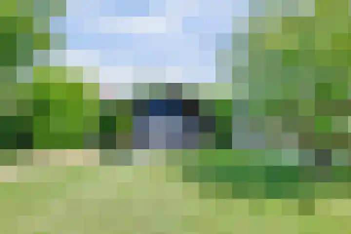 Laauwikstraat 43 Lent thumbnail 47