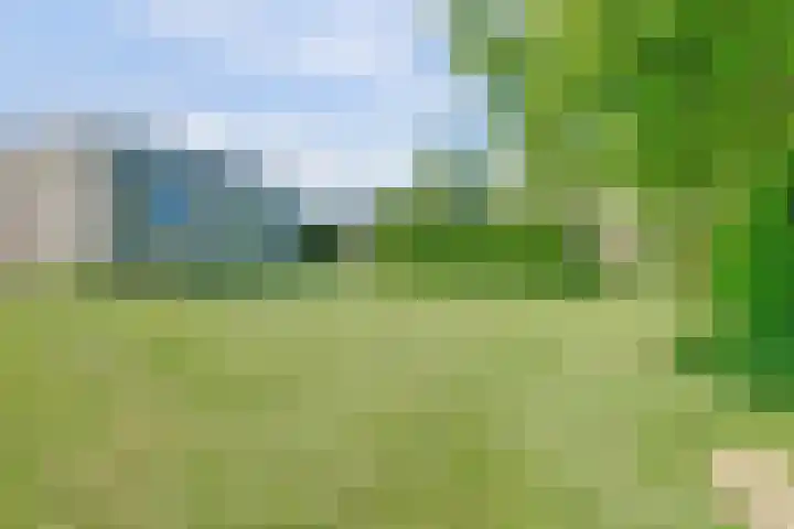 Laauwikstraat 43 Lent thumbnail 49