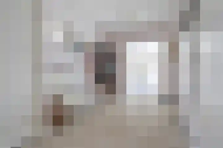 Laauwikstraat 43 Lent thumbnail 5